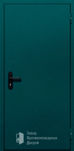 Фото двери «Однопольная глухая №16» в Голицыно