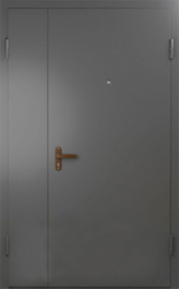 Фото двери «Техническая дверь №6 полуторная» в Голицыно